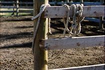 מלון קוקרן Bar C Ranch מראה חיצוני תמונה